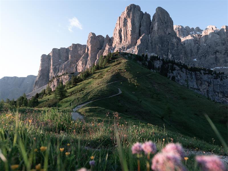 Foto für Erkundung der Dolomitenwege: Über Sas Ciampac bis ins Edelweißtal im Naturpark